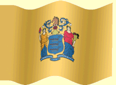 NJ State flag